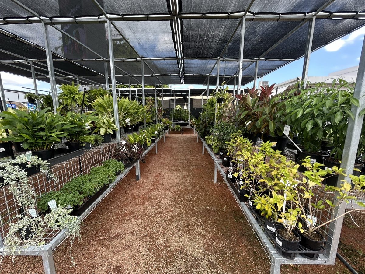 Adams Eden Garden Centre